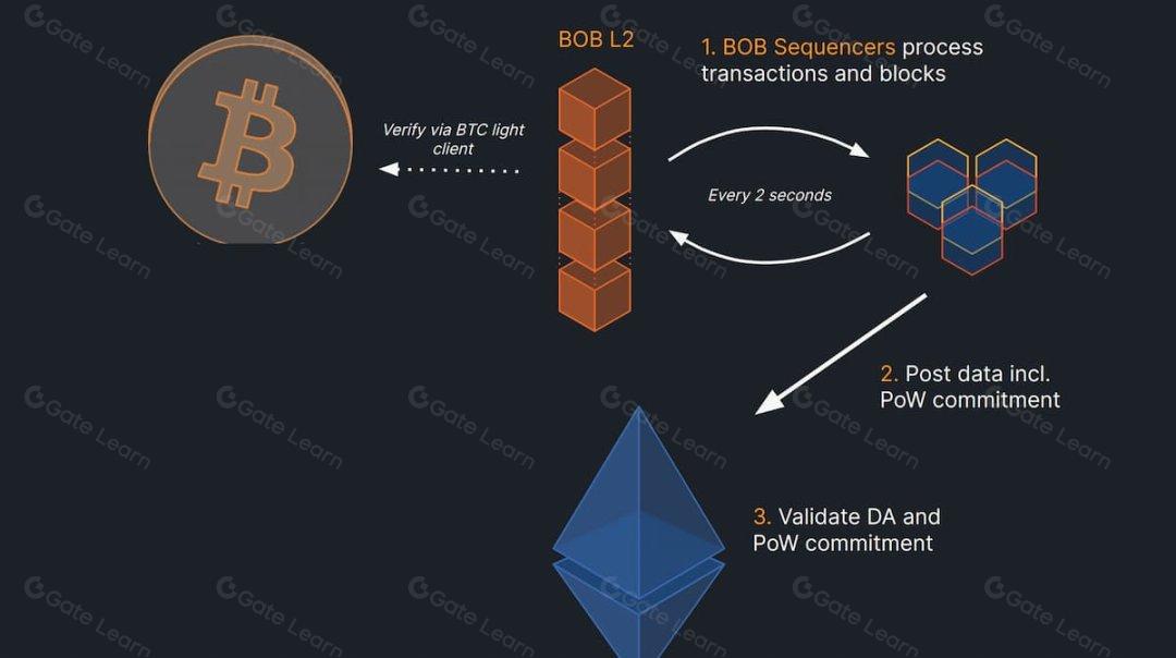The 2026 Bitcoin L2 Boom: How Bitcoin Rollups Are Finally Solving Scalability and Enabling Native DeFi