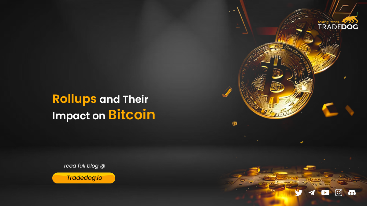 bitcoin rollup on-chain data cost
